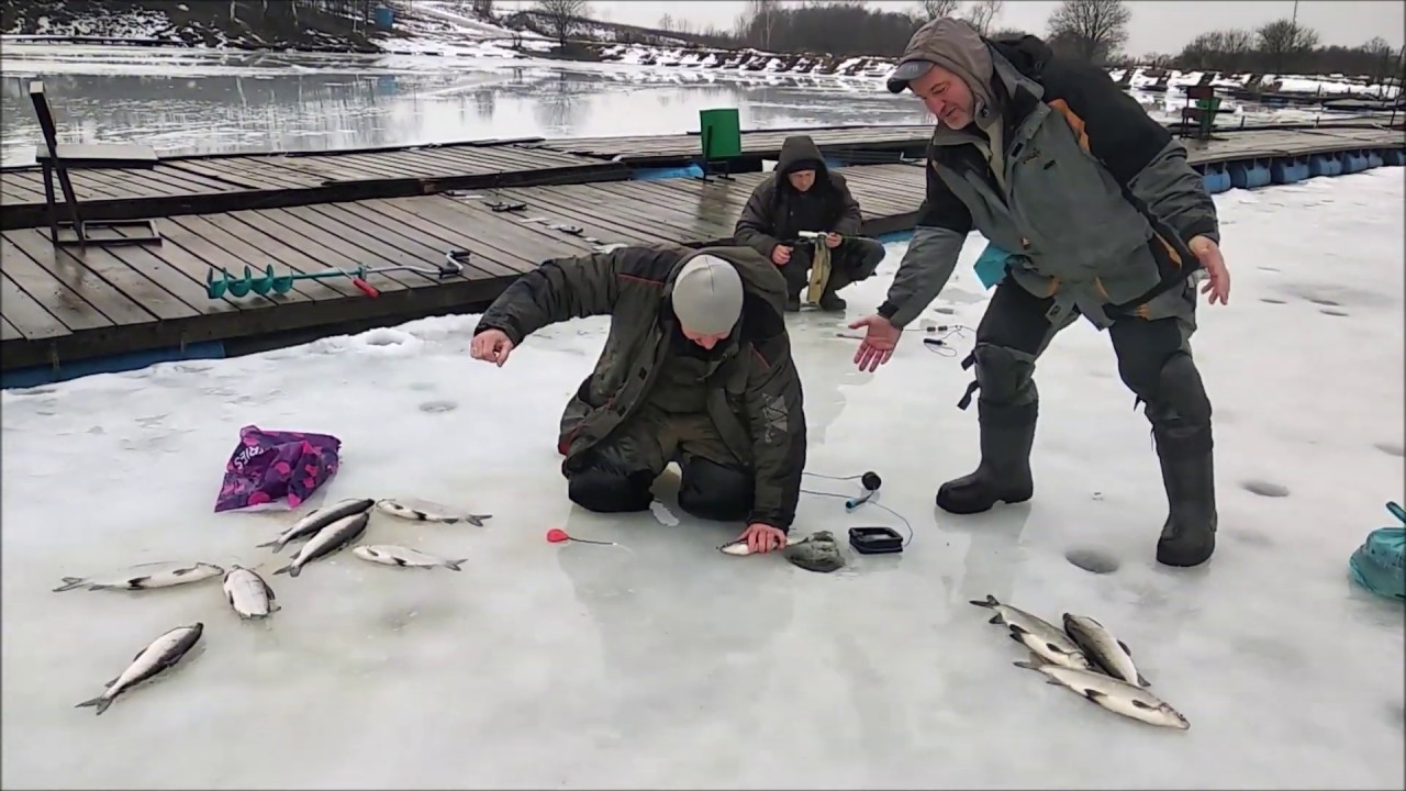 Клевым местам видео. Форелевая рыбалка зимой. Блесна на осетра. Зимняя рыбалка осетра. Форелевая рыбалка в Подмосковье соревнования.