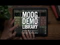 Animoog Z | Effects Explained
