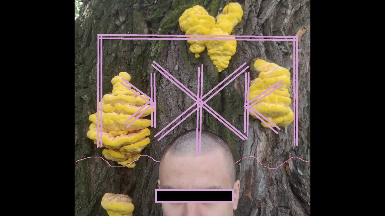 Eugene Voronovsky cd-set // концертъ Жуковский Карантинныйъ 30/5/20 at 55.575795, 38.065614