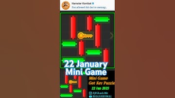 Hamster Kombat Today