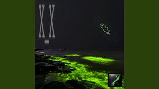 X x slowed