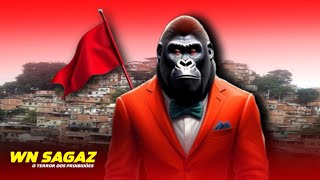 SEQUÊNCIA🚩 MORRO DOS MACACOS VERMELHOU