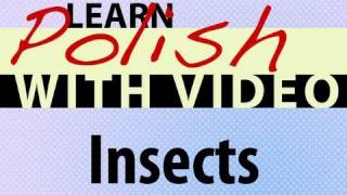 Learn Polish with Video - Insects