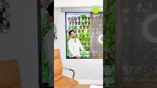 Office Interior with Natural Green Touch | Modern Balcony Green Corner | Cozy &amp; Relaxing Interior.