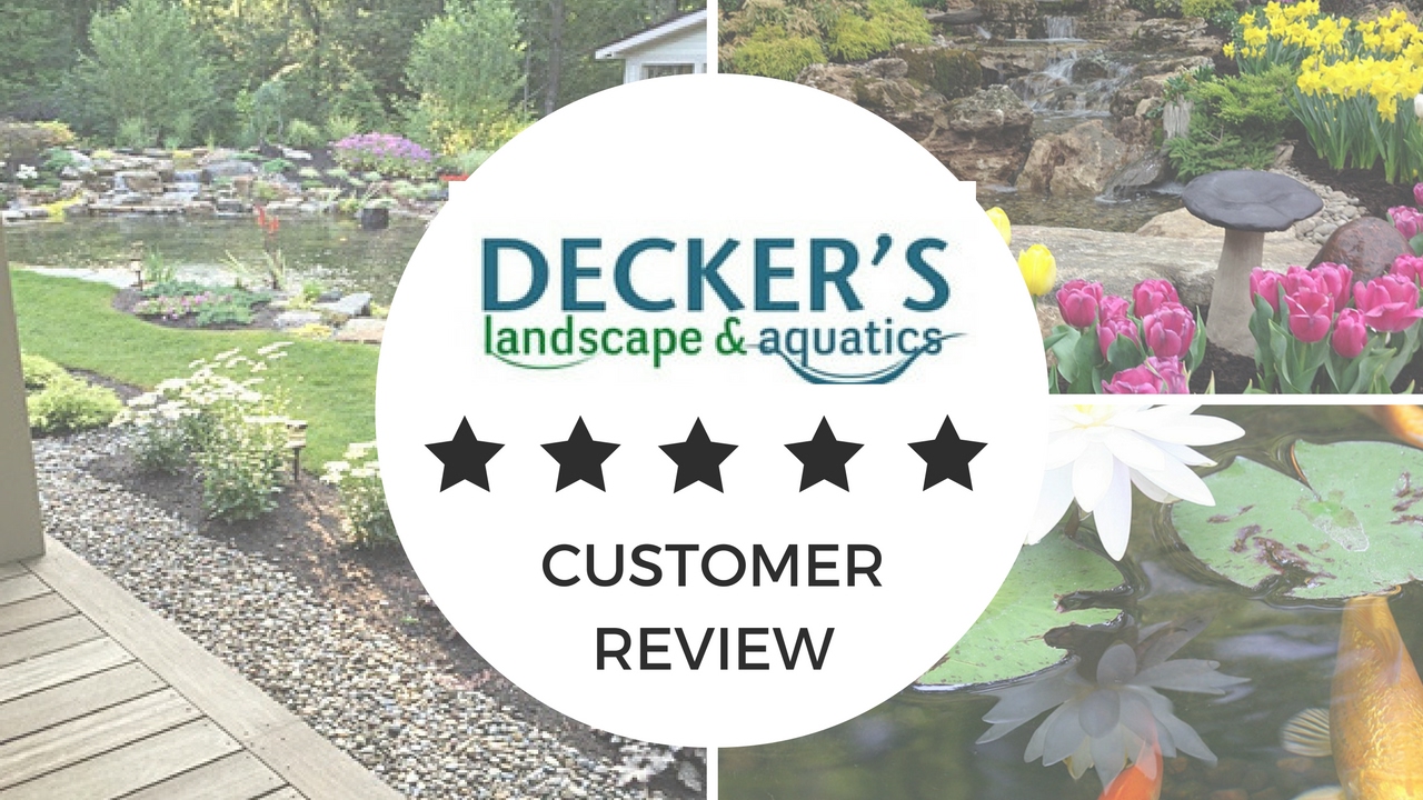 Decker's Landscape & Aquatics Pattersonville Incredible 5 Star Review