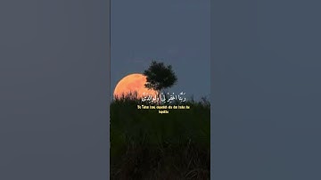 اللهم اجعل القرآن الكريم ربيع قلوبنا ونور صدورنا