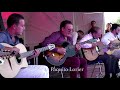 Minor Swing - Django Reinhardt