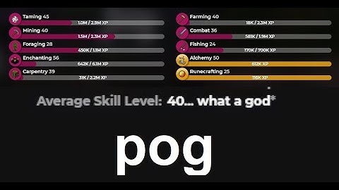 Skyblock Until Skill Average XL (40)