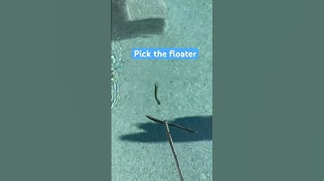 Floating worm? #basstournament  #kayaktournamentfishing #fishingmethods @SmokinBaits