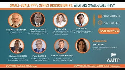 Small-Scale PPPs Session Discussion #1: What Are Small-Scale PPPs?