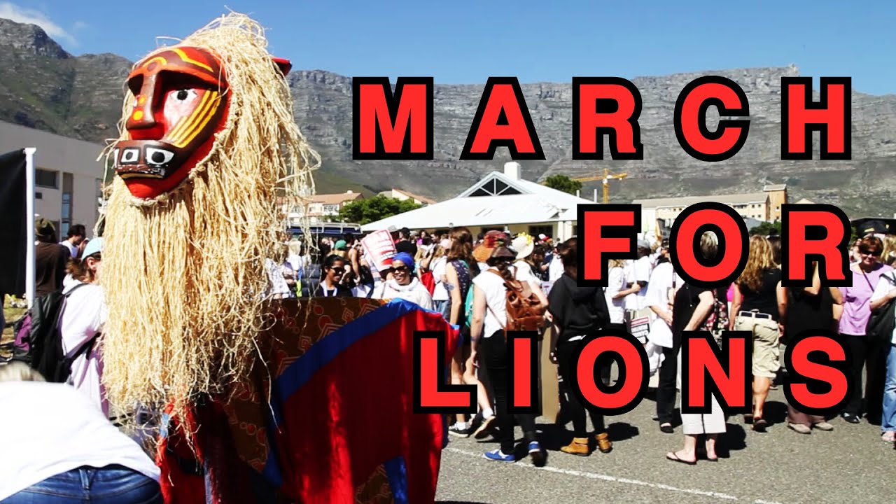 Stop Canned Lion Hunting!