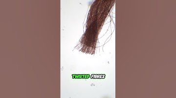 This Is What a Thread Really Looks Like Under a Microscope!