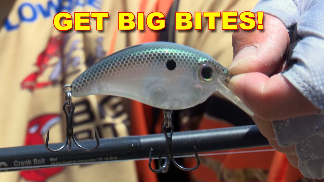 Top 5 September Bass Fishing Baits | Cliff Pirch’s Fall Transition Must-Haves | Bass Fishing