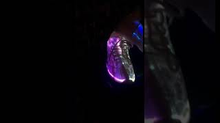 Night Running Shoes Fiber Optic LED Light Up Shoes