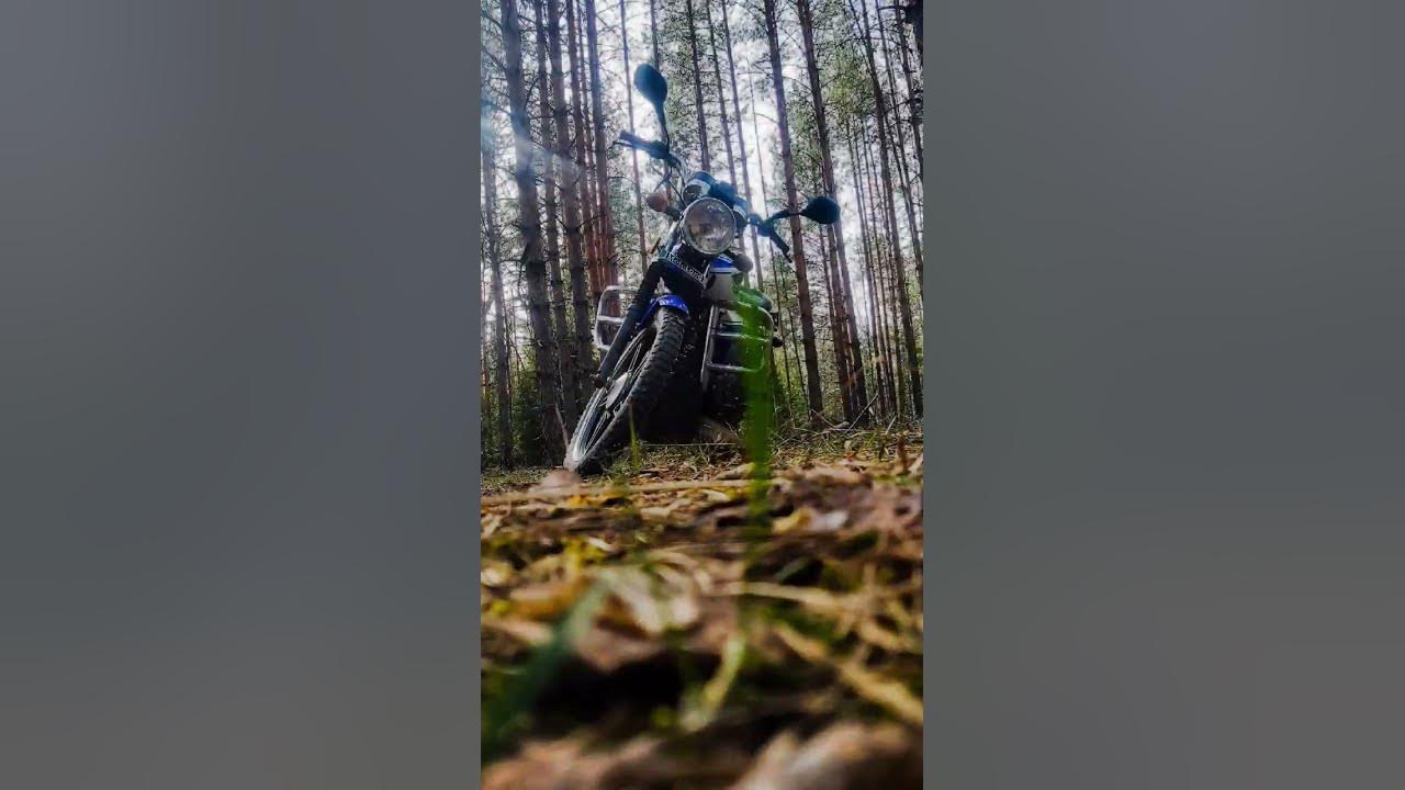 альфа рх - YouTube
