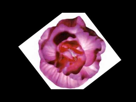 About Pop 2 - ไม่มีใครสำคัญ