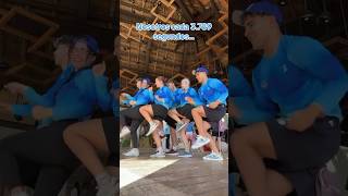 Que Buena Porra De Los Delfines