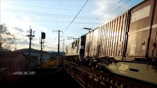 JR貨物 EF210-145号機[吹]+コキ25B　貨物列車1071レ【夕日とのコラボ有り!!】