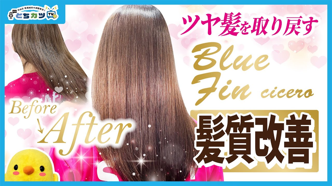 【衝撃すぎた】名古屋市守山区の髪の病院で髪質改善したら…ツヤ髪取り戻せた！名古屋美髪プロジェクトとは？|クリニックサロンBlueFin cicero（ブルーフィン）【とちカツTV】