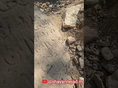 جای پای اسب یا یک افسانه تنگ خشک خوزستان