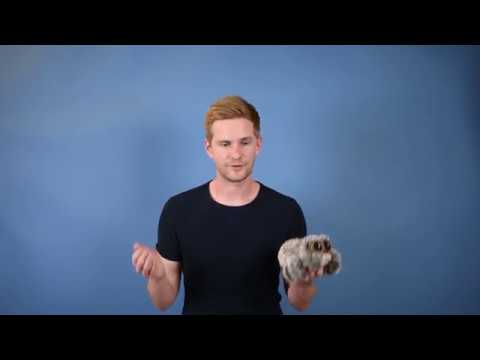 lucas the spider plush ebay