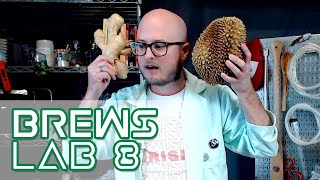 The one where we ferment Durian fruit
