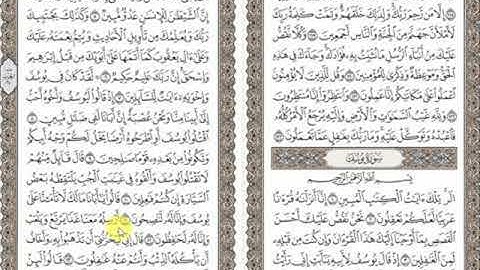 سورة يوسف محمد عباس