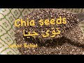 چەند زانياريەکی بەسود دەربارەی تۆی چيا Chia Seeds چەند زانياريەکی بەسود دەربارەی تۆی چيا Chia Seeds