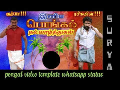 surya pongal wish template video whatsapp status dedicated to surya fans