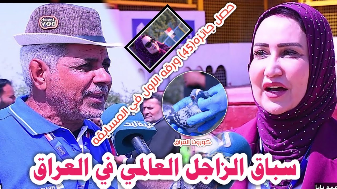 نطلاق الطير الزاجل من بيجي الى البصره مسافه النطلاق 650كم//بادارة الكبير محمد جبار عمو بابا