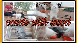 Aaj banane liya condo with  wood 🪵 ( Cat house 🏡) #shortvideo #cat #cats by The Cats Time 221 views 1 month ago 6 minutes, 42 seconds
