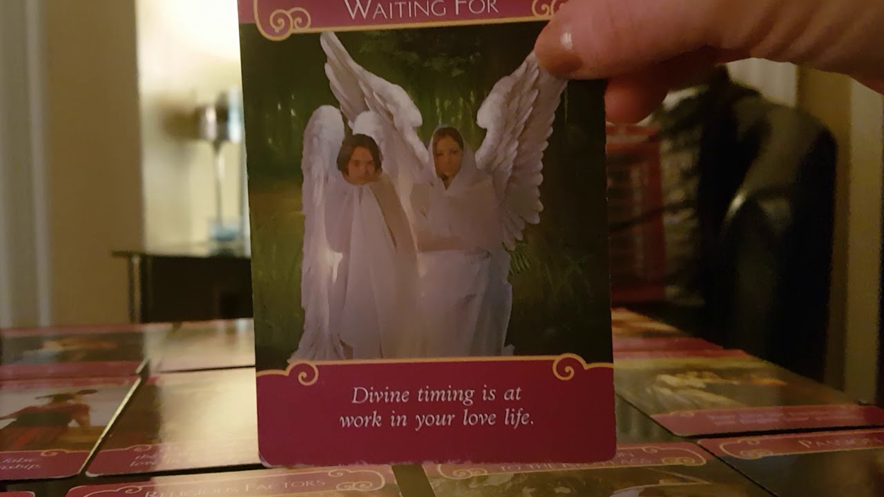 DAILY ORACLE READING FOR ALL SIGNS.