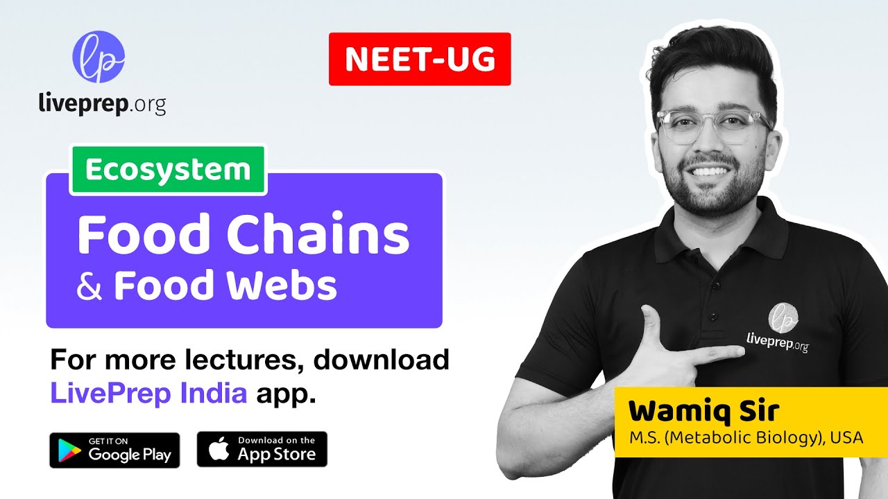Lecture 5 - Food Chains and Food Webs - Ecosystem - NEET-UG by Wamiq Sir