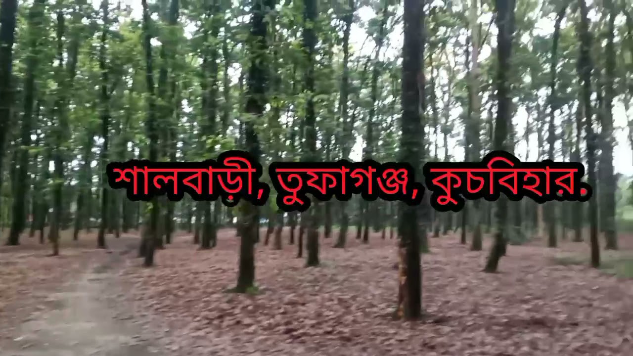Tufanganj to Shalbari || Cooch behar || তুফানগঞ্জ থেকে শালবাড়ী ||