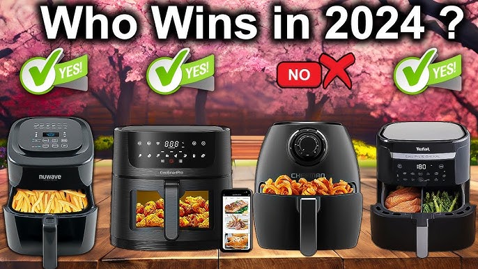 I've held off on getting an air fryer because I'm very wary of