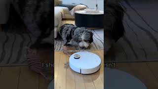 POV: Your parents got you a robot pet.😍