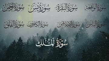 سورة البقرة، سورة يس، الواقعة، الرحمن ،الملك ، الكافرون ،سورة الاخلاص، الفلق , الناس _ رقية المنزل