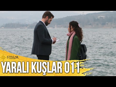 Yaralı Kuşlar 11. Bölüm