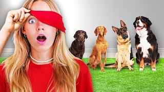 Finding our DOG Blindfolded! Angel’s Puppy Returns! by Fun Squad Family 1,008,724 views 5 months ago 28 minutes