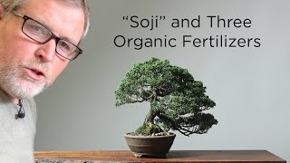 Bonsaify | How to Use Organic Fertilizers with Bonsai Trees