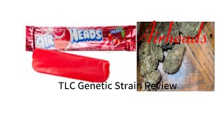 The TLC Genetic Show : Airhead (Strain Review)