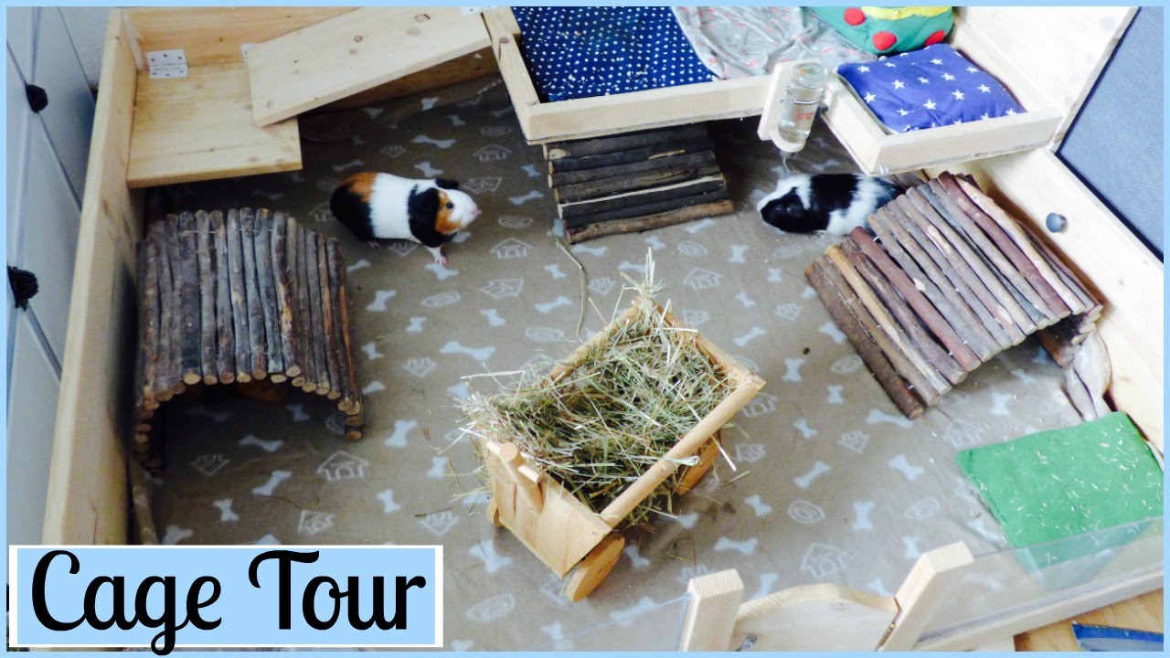 little adventures guinea pig cage