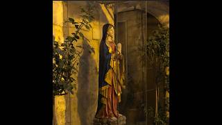 A "Deep Dive" Dialogue on Tabor's Take on the Historical Mary Information