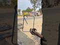👷‍♂️ How to Make Column Ring Like a Pro | Stirrups Making Process #Construction #Viral #shorts