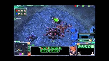 Failed Zerg rush