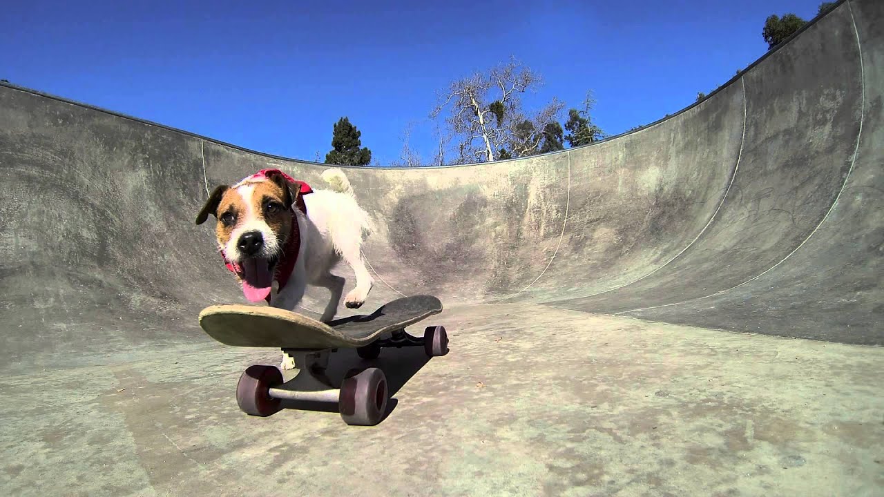 extreme downhill skateboarding 17 best street luge images on pinterest ...