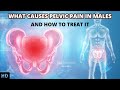 Decoding Pelvic Pain in Males: Understanding the Root Causes