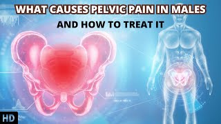 Decoding Pelvic Pain in Males: Understanding the Root Causes