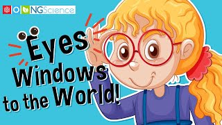 Eyes – Your Windows to the World!