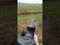 великолепный кадр кабана #hunting #wildboar #chasse #jabali #cinghiale #дикий кабан